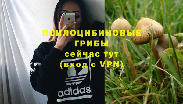 эйфоретик Алзамай