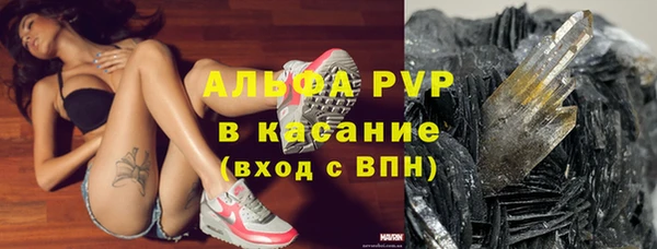 эйфоретик Алзамай