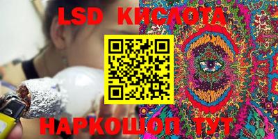 шишки Ногинск