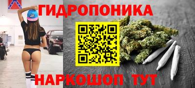 шишки Ногинск