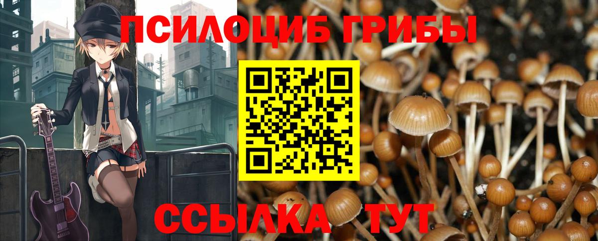 Псилоцибиновые грибы Cubensis Алушта